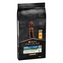 Purina Pro Plan Cão Puppy Large Athletic Healthy Start Frango