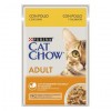 Purina Cat Chow Adultos Húmidos c/ Frango 85gr