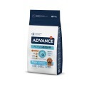 Advance Cão Medium Puppy Frango e Arroz