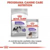 Royal Canin X-small, Cão, Seco, Adulto Sterilised, Alimento/Ração