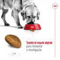 Royal Canin Maxi Adult 15 + 3Kg Oferta
