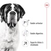Royal Canin Giant Adult 15 + 3kg Oferta