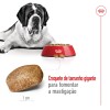 Royal Canin Giant Adult 15 + 3kg Oferta