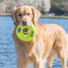 Brinquedo Kong AirDog Donut c/ Som - L