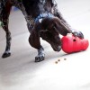 Brinquedo Kong Dispensador Guloseimas Wobbler Tamanho - L (20 cm)