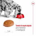 Royal Canin Medium, Cão, Seco, Adulto 7+, Alimento/Ração