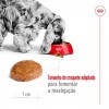Royal Canin Medium, Cão, Seco, Adulto 7+, Alimento/Ração