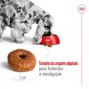 Royal Canin Medium Adult 4kg