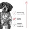 Royal Canin Medium Adult 4kg
