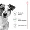 Royal Canin Mini Puppy, Cão, Húmidos, Cachorro, Alimento