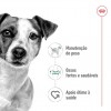 Royal Canin Mini Ageing 12+, Cão, Húmidos, Sénior, Alimento