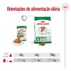 Royal Canin Mini Ageing 12+, Cão, Húmidos, Sénior, Alimento