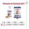 Royal Canin Maxi Ageing 8+, Cão, Húmidos, Sénior, Alimento