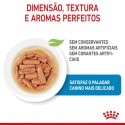 Royal Canin Medium Puppy, Cão, Húmidos, Adulto, Alimento
