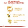 Royal Canin Yorkshire Terrier Adult Húmidos Saqueta 12x85g