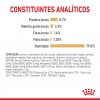 Royal Canin Labrador Retriever Adult, Cão, Húmidos, Adulto, Alimento/Ração