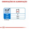 Royal Canin Mini Puppy, Cão, Húmidos, Cachorro, Alimento