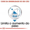 Royal Canin Mini Puppy, Cão, Húmidos, Cachorro, Alimento