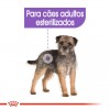 Royal Canin Sterilised All Sizes, Cão, Húmidos, Adulto, Alimento