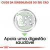 Royal Canin Mini Puppy, Cão, Húmidos, Cachorro, Alimento