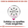 Royal Canin Mini Puppy, Cão, Húmidos, Cachorro, Alimento