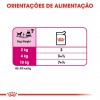 Royal Canin Mini Puppy, Cão, Húmidos, Cachorro, Alimento
