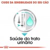 Royal Canin Mini Puppy, Cão, Húmidos, Cachorro, Alimento