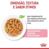 Royal Canin Kitten Sterilised (Jelly), Gatinhos, Húmidos, Alimento