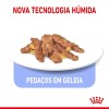 Royal Canin Gatos Sterilised (Gravy), Gatos, Húmidos, Adulto, Alimento