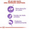 Royal Canin Gatos Sterilised (Jelly), Gatos, Húmidos, Adulto, Alimento