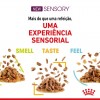 Royal Canin Gatos Ageing +12 Húmidos Saquetas 85g x 12uni.