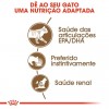 Royal Canin Gatos Ageing +12 Húmidos Saquetas 85g x 12uni.