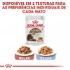 Royal Canin Gatos Ageing +12 Húmidos Saquetas 85g x 12uni.