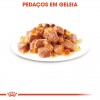 Royal Canin Gatos Ageing +12 Húmidos Saquetas 85g x 6 uni.