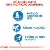 Royal Canin Gatos Ultra Light Húmidos Saquetas 85g x 12uni.
