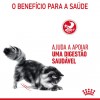 Royal Canin Gatos Digestive Sensitive Húmidos Saquetas 85g x 12uni.