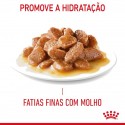 Royal Canin Gatos Digestive Sensitive Húmidos Saquetas 85g x 12uni.