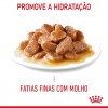 Royal Canin Gatos Digestive Sensitive Húmidos Saquetas 85g x 12uni.