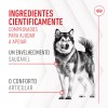 Royal Canin Cão Suplemento Joint & Ageing Chews 240gr
