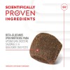 Royal Canin Cão Suplemento Digestion Adulto Chews 160gr