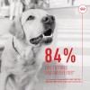 Royal Canin Cão Suplemento Digestion Adulto Chews 160gr