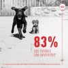 Royal Canin Cão Suplemento Immunity Digestion Puppy Chews 100gr
