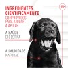 Royal Canin Cão Suplemento Immunity Digestion Puppy Chews 100gr