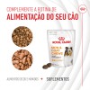 Royal Canin Cão Suplemento Skin & Coat Chews 240gr