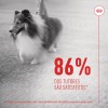 Royal Canin Cão Suplemento Skin & Coat Chews 240gr