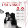 Royal Canin Cão Suplemento Skin & Coat Chews 240gr