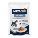 Advance Cão e Gato Húmidos Recovery 11x100gr
