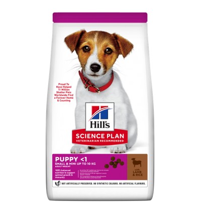 Hill's Science Plan Cão Puppy Small e Mini Borrego