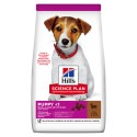 Hill's Science Plan Cão Puppy Small e Mini Borrego e arroz