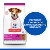 Hill's Science Plan Cão Puppy Small e Mini Borrego